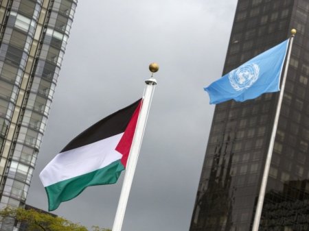 القضية الفلسطينية تعري الأمم غير المتحدة...بقلم زياد الغوش