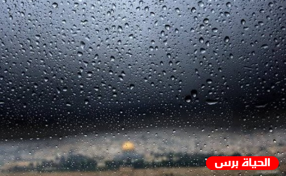 طقس فلسطين : انخفاض جديد على درجات الحرارة وتساقط للأمطار بغزارة