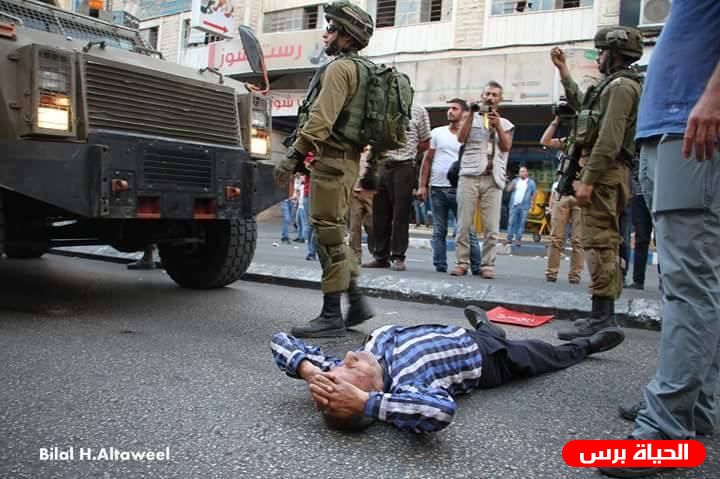 الاحتلال يعتقل مسنا بعد الاعتداء عليه من قبل المستوطنين جنوب الخليل