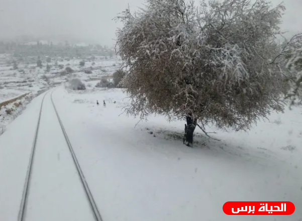 الطقس : منخفض جوي قطبي شديدة البرودة يصل البلاد