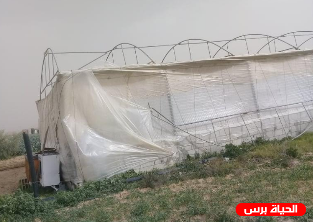 الزراعة : المنخفض الجوي يلحق خسائر بالقطاع الزراعي 
