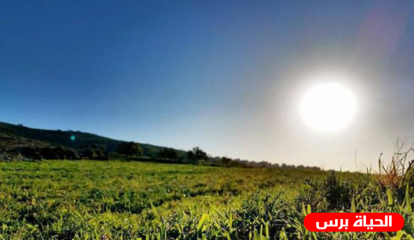 الطقس : ارتفاع طفيف على درجات الحرارة