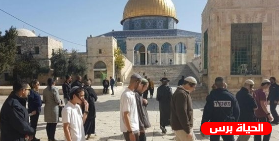 عدد من جنود الاحتلال القدامى يقتحمون باحات الأقصى