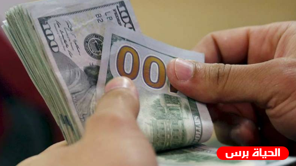 رابط فحص المنحة القطرية 100 دولار الدفعة الثالثة