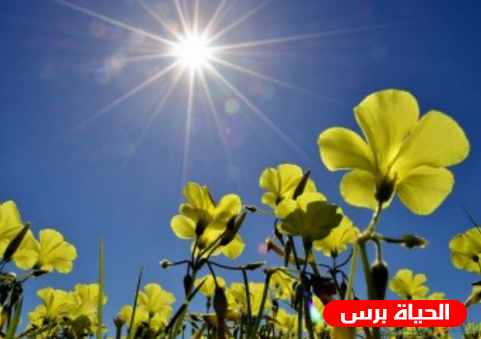 الطقس : ارتفاع طفيف على درجات الحرارة