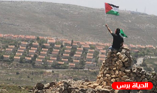 أمنستي : شركات سياحية تغذي الانتهاكات ضد الفلسطينيين بأنشطتها في المستوطنات