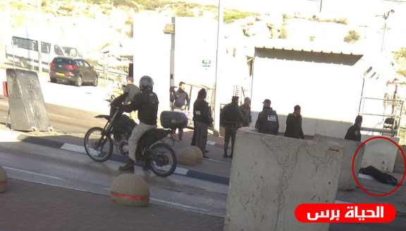 محدث:الاحتلال يُعدم فتاة أطلق النار عليها قرب حاجز 