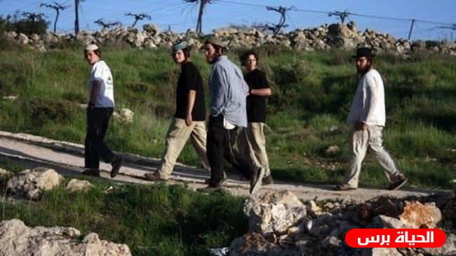 مستوطنون يهاجمون منازل المواطنين في قرية مادما جنوب نابلس