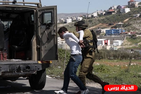 الاحتلال يعتقل شابا من قرية بير الباشا جنوب جنين