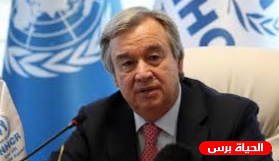 أمين عام الأمم المتحدة: العالم لا يمكنه تحمل حرب جديدة في الخليج بعد اغتيال قاسم سليماني