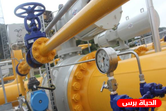البدء بالتخطيط لمد محطة كهرباء غزة بالغاز بمساهمة هولندية