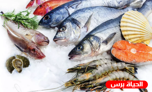 أسعار الأسماك في أسواق قطاع غزة اليوم الأربعاء