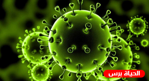 فايروس كورونا : خبراء أمريكيون تنبؤوا بانتشاره قبل 3 أشهر وهذه توقعاتهم