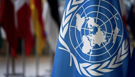 In an urgent appeal, rights groups call on UN Special Procedures to protect Palestinians during pandemic