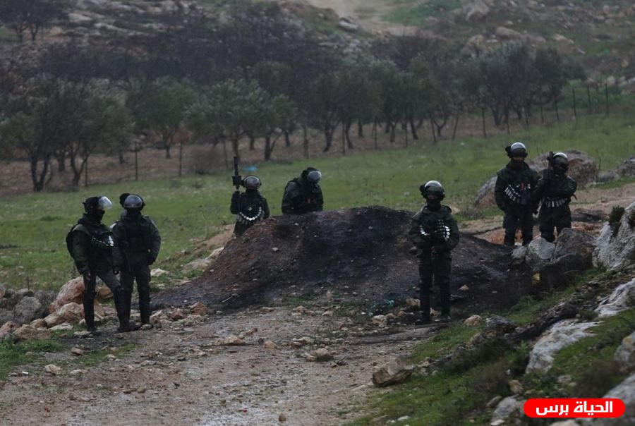 تواصل انتهاكات الاحتلال 29/1/2022