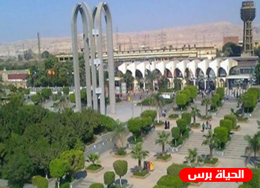 ضبط عميد كلية جامعية وأستاذ بتهمة الرشوة