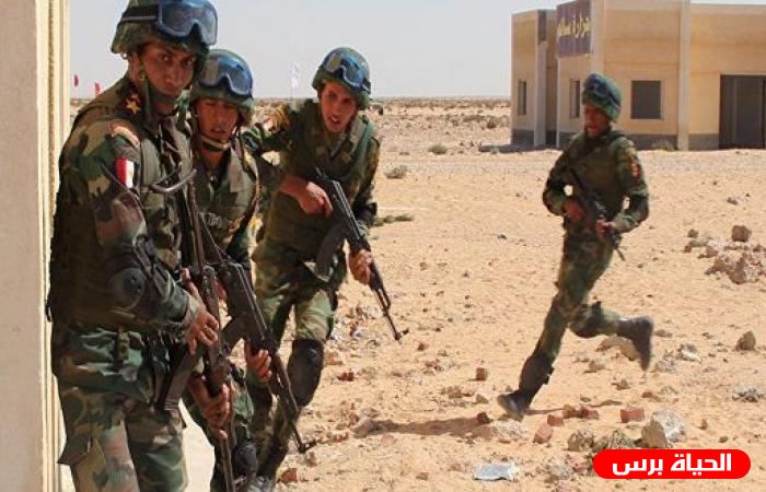 الأمن المصري يحبط محاولة إرهابية في الجيزة