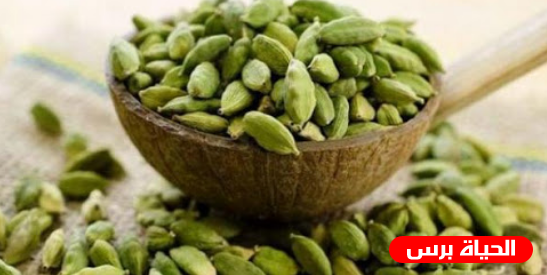 سبب ارتفاع اسعار الحبهان ( الهيل )