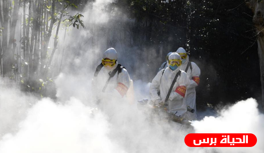 الصحة في غزة تنفي تسجيل أي حالات إصابة بفيروس كورونا
