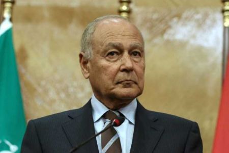 Arab League chief, UN Special Coordinator discuss Palestinian cause