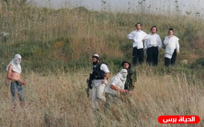 مستوطنون يقتحمون كفر الديك غرب سلفيت