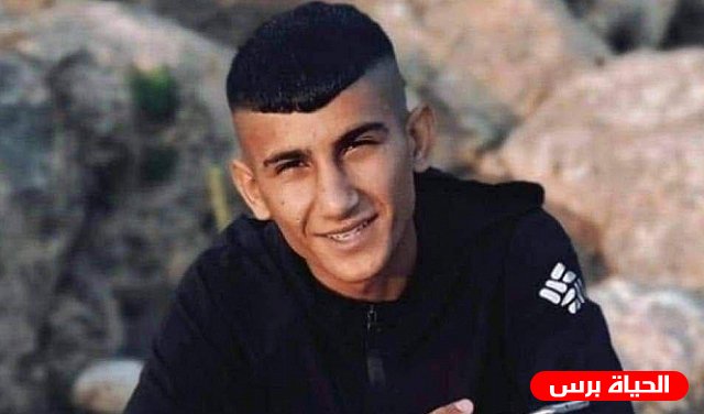 شهيدان في الخليل وطوباس