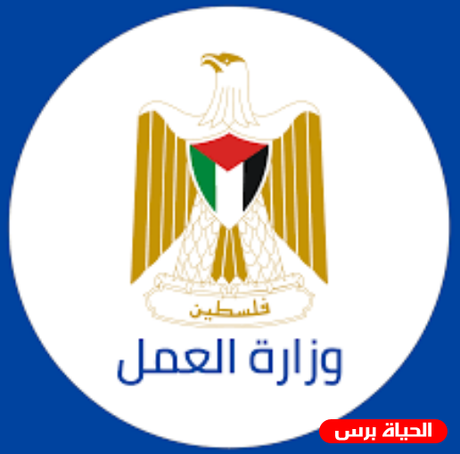 رابط التسجيل في بطالات مكتب العمل في غزة الممولة من الـ UNDP