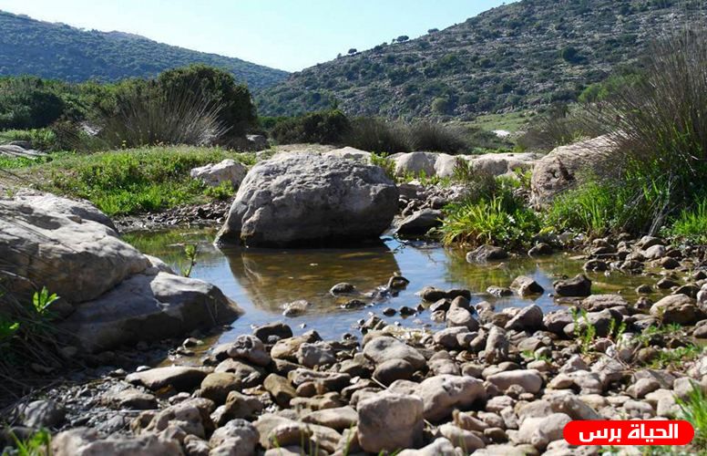 سلطة البيئة تحتفي بالقدس عاصمة للبيئة العربية في جبل البابا المهدد بالاستيطان
