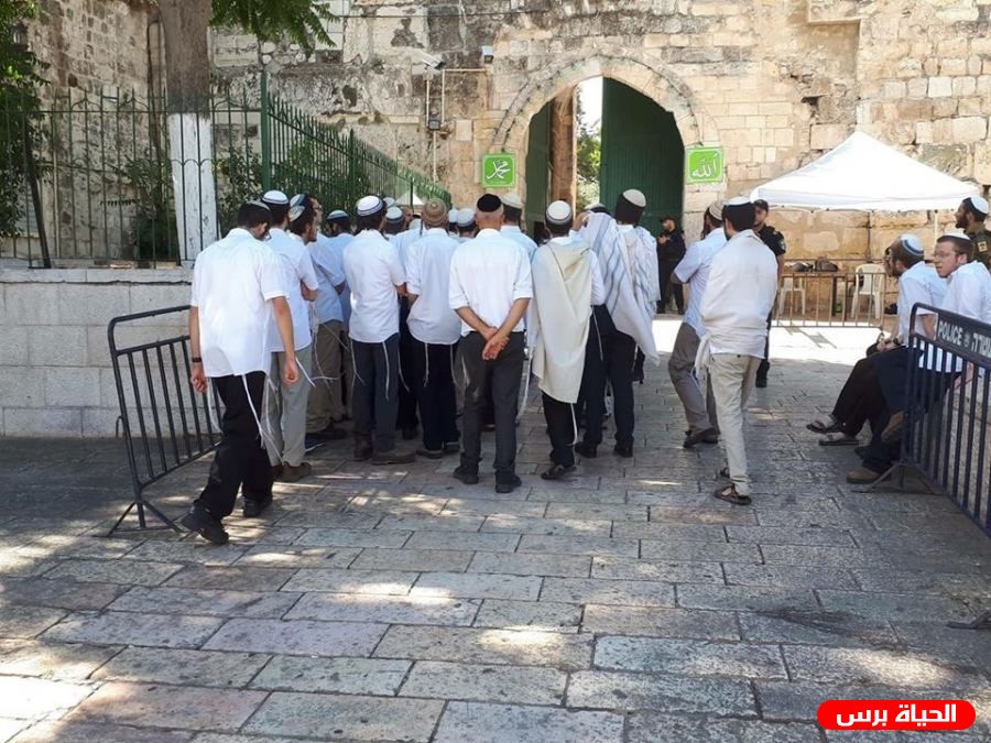 الخليل: مستوطنون يستبيحون الحرم الإبراهيمي للاحتفال 