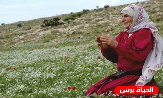 في يوم المرأة : نصف المجتمع الفلسطيني من الاناث