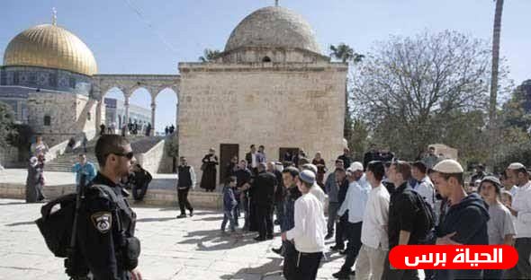 الاحتلال يعتقل حارسا والمستوطنون يستأنفون اقتحاماتهم الاستفزازية للأقصى
