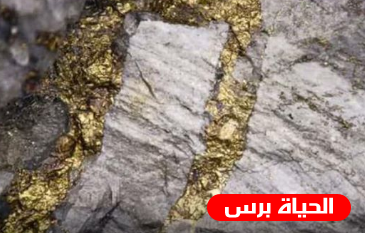 حقيقة ظهور الذهب في جبال دمشق 