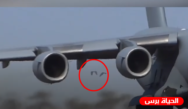 طائر منع طائرة حربية من الطيران