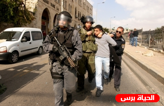 الاحتلال يعتقل مقدسي في البلدة القديمة بالقدس