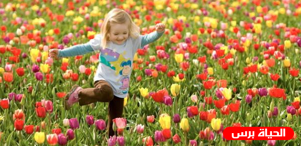 ظاهرة جديدة .. الأرصاد : فصل الربيع دخل قبل أوانه 