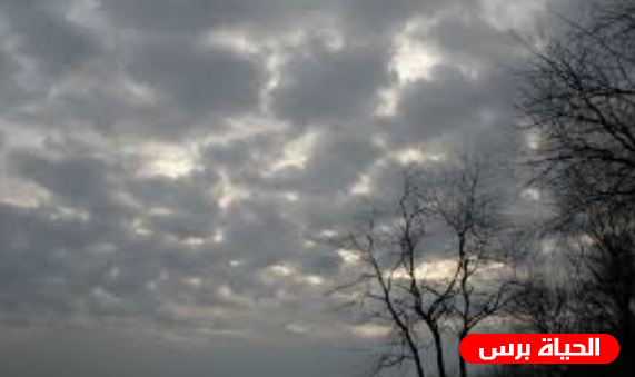 الطقس : انخفاض ملموس على درجات الحرارة وهطول أمطار