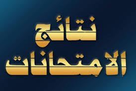 نتائج السادس الاعدادي الدور الثاني 2018