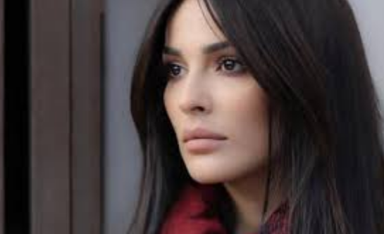 فستان نادين نسيب نجيم يثير الجدل