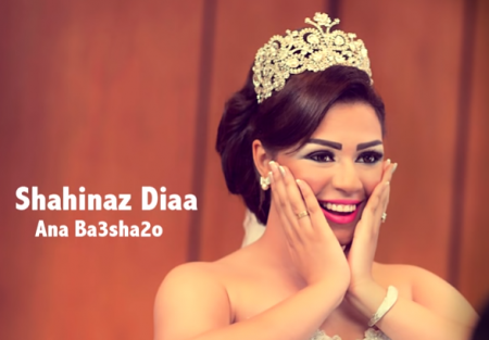 شاهيناز ضياء بعد ما غنت لزوجها أنا بعشقك اعتدى عليها