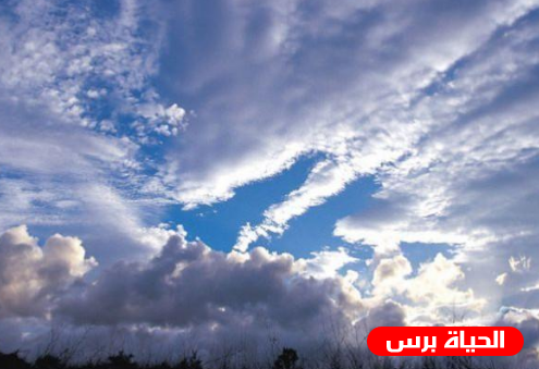 الطقس : ارتفاع ملموس على درجات الحرارة