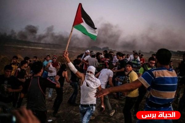محدث:اصابات بالرصاص الحي وآخرين بالاختناق في قطاع غزة