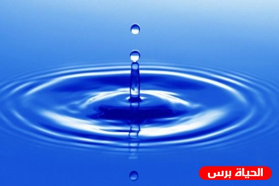 ندوة عن واقع المياه في الأغوار الشمالية 