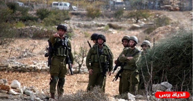 الاحتلال يستولي على 15 دونما شرق قلقيلية