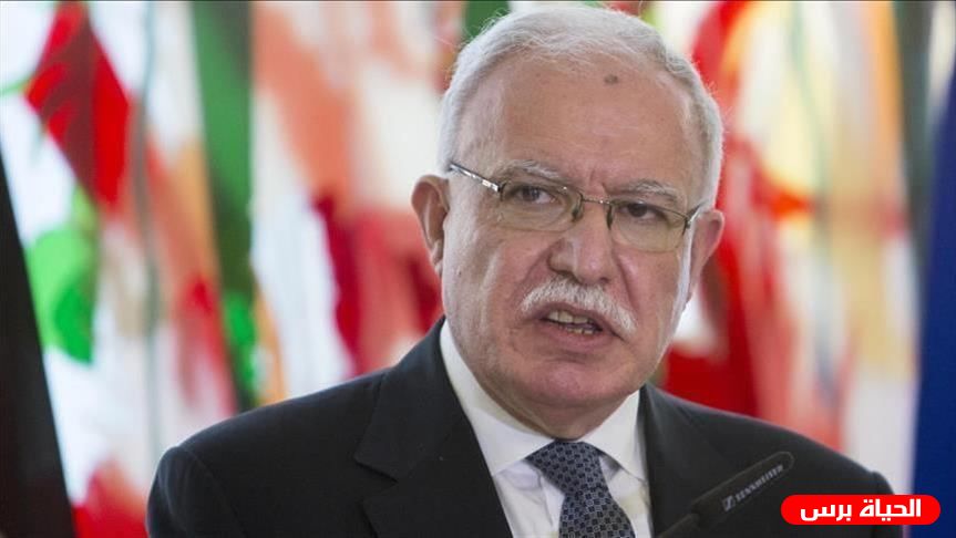 المالكي: انعقاد القمة العربية يكتسب أهمية خاصة في الظروف الراهنة