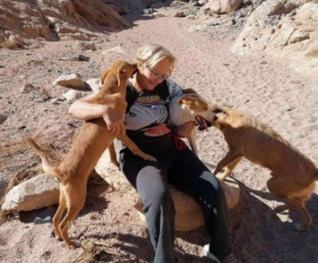 كلاب تنهش سيدة بريطانية في سيناء