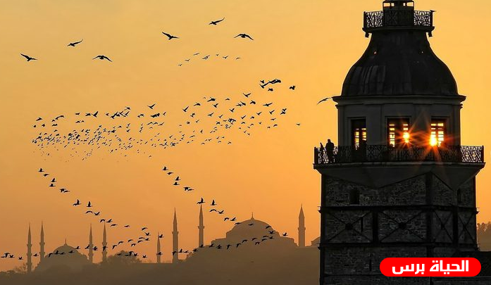 شاهد مؤذن يبكي وهو يردد صلوا في رحالكم