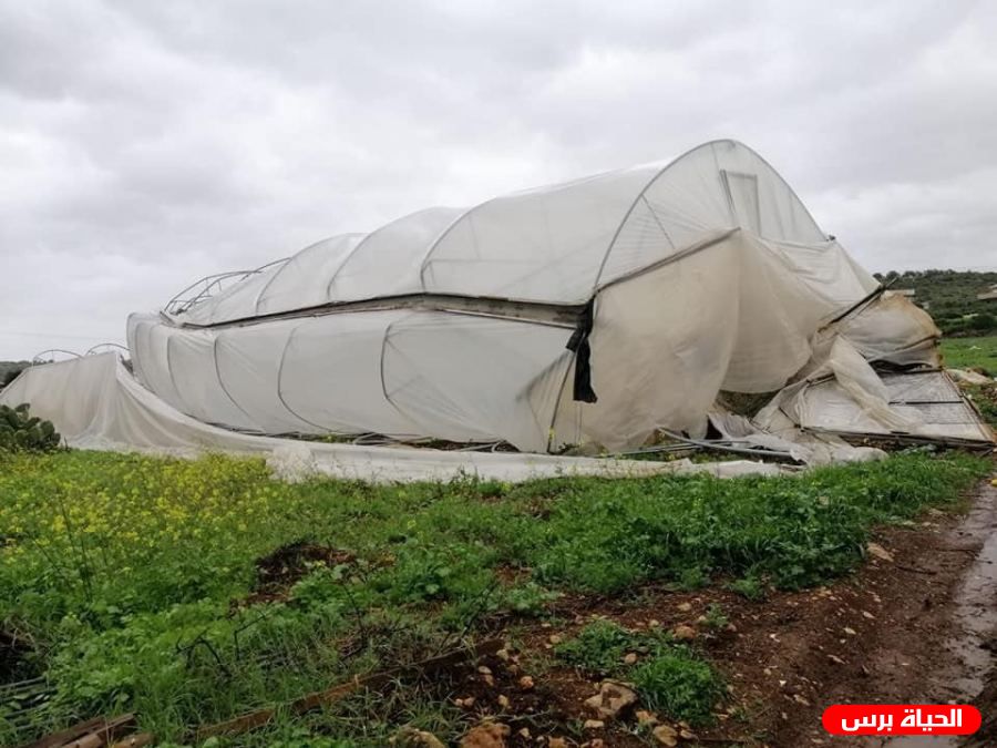 العاصفة الرملية تكبد خسائر بآلاف الشواقل لمزارعي قلقيلية