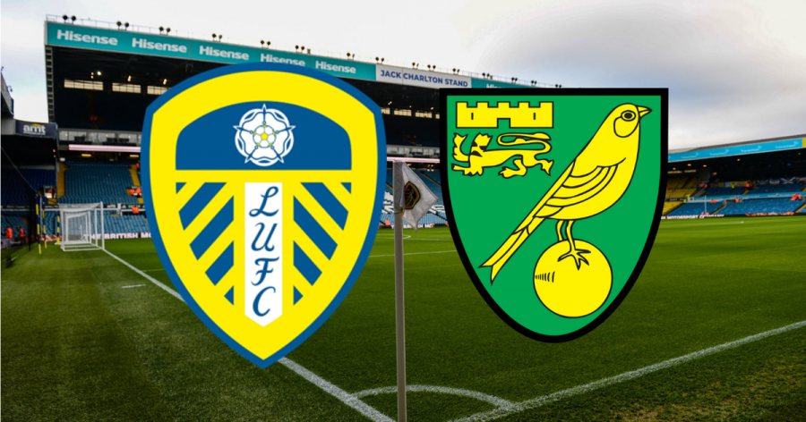 Leeds United 2-1 Norwich City Highlights: Joe Gelhardt scores dramatic stoppage-time winner