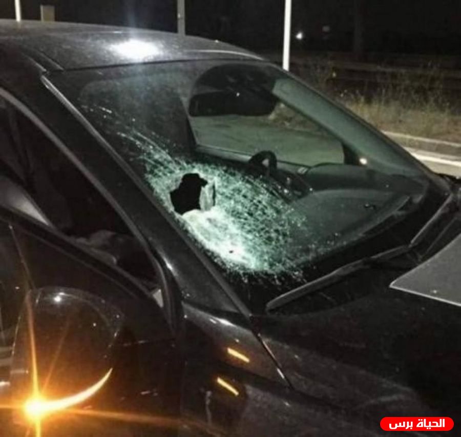 مستوطنون يهاجمون مركبات المواطنين في محيط نابلس 