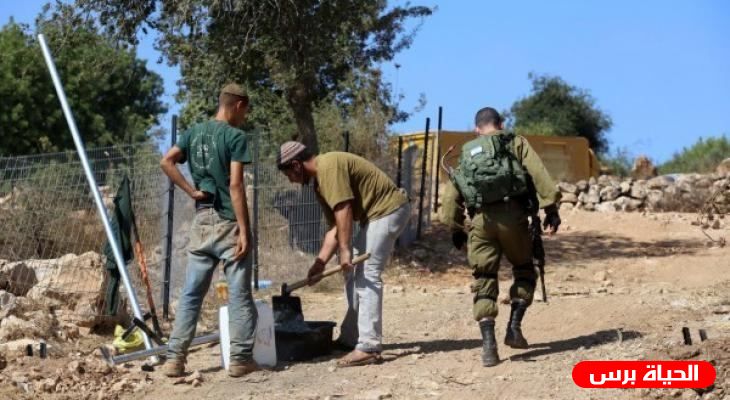 مستوطنون يشرعون ببناء خيام وحظائر شرق عين الحلوة في الأغوار الشمالية